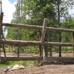 Wood fence gate by Lovewell Fencing